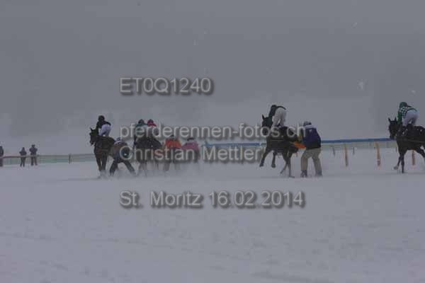 ET0Q1240 prot